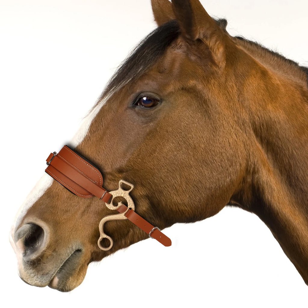 Equipaggiamento per cavallo Imbottito regolabile