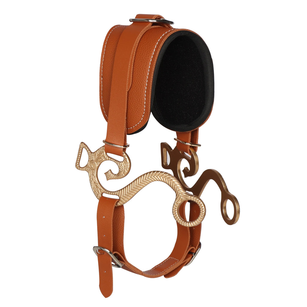 Equipaggiamento per cavallo Imbottito regolabile