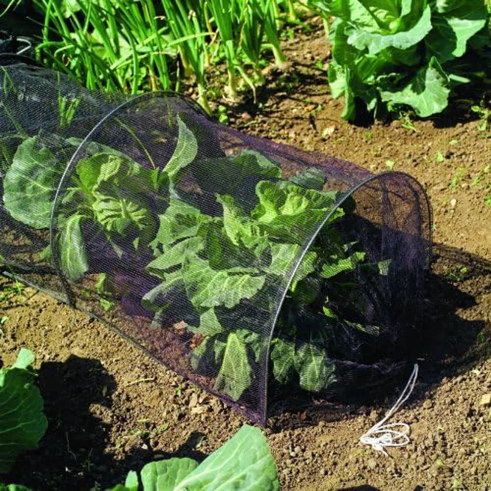 Serra Agricola Rete nera Tunnel di piantagione Copertura in plastica per la protezione delle piantagioni di ortaggi