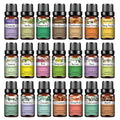 PHATOIL 10ml Oli Essenziali Puro Naturale Per diffusore Aromatico