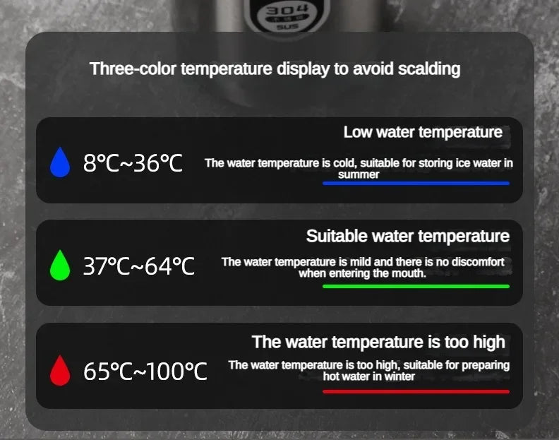 Bottiglia termica in acciaio inossidabile da 500ML-1 litro con display a temperatura a LED