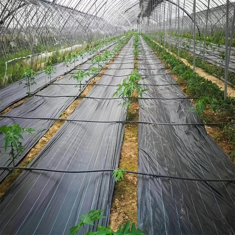 Tappetino da giardinaggio resistente in tessuto 5m