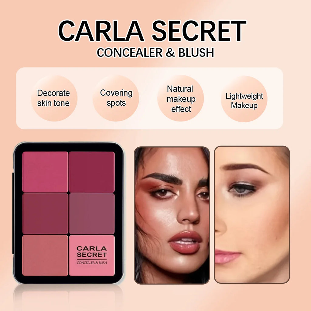 Correttore a 12 colori e tavolozza di fard Matte e highlight contour makeup palette rouge