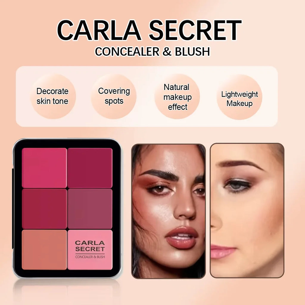 Correttore a 12 colori e tavolozza di fard Matte e highlight contour makeup palette rouge