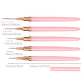 Strumento professionale Nail Art Liner Brush Set 5pcs