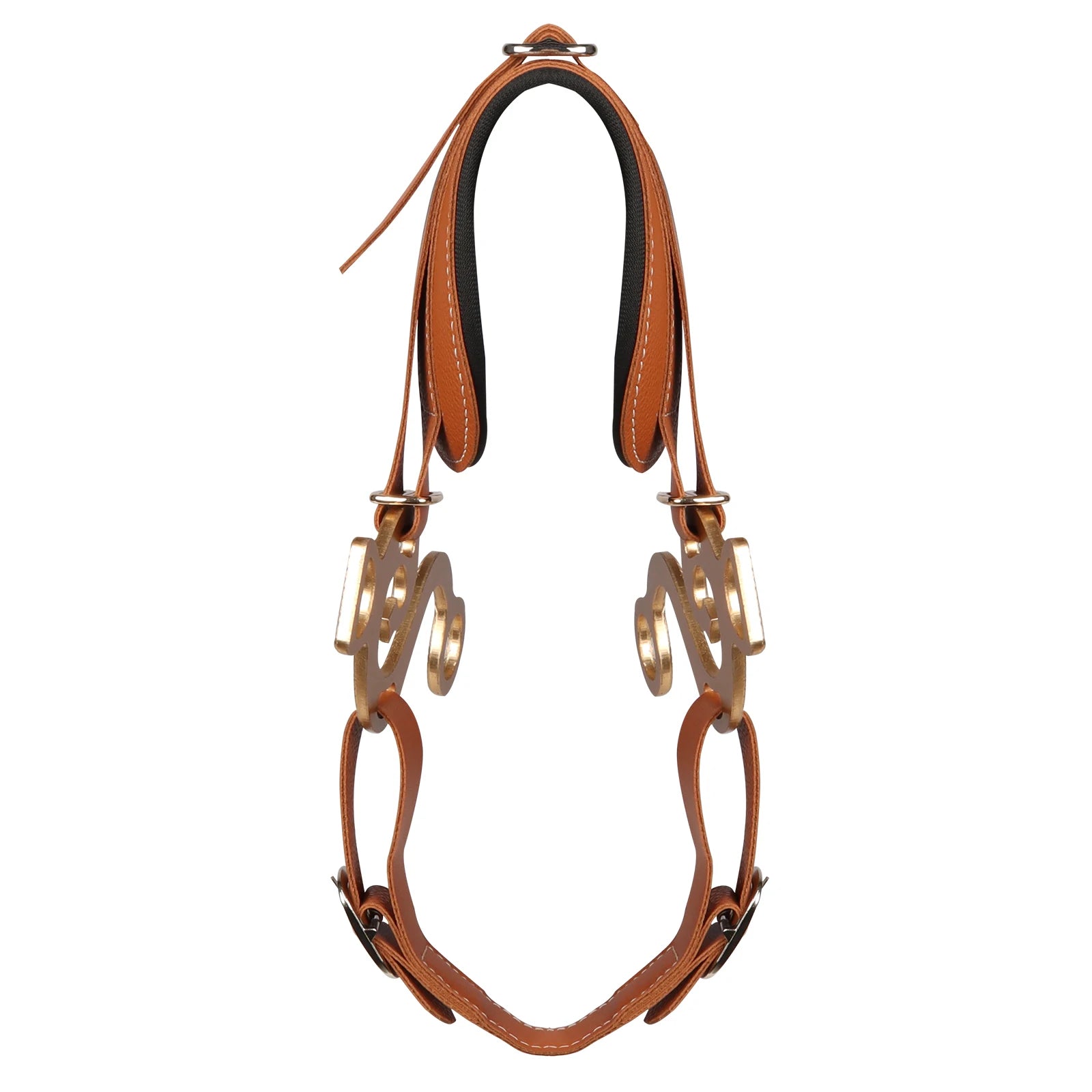 Equipaggiamento per cavallo Imbottito regolabile