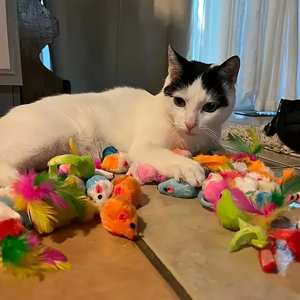 Confezione mista di giocattoli per gatti 14pcs