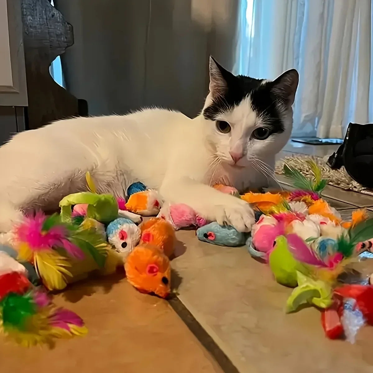 Confezione mista di giocattoli per gatti 14pcs